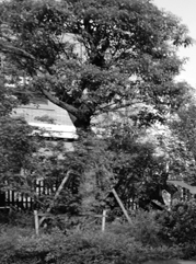 淇滨注册公司
